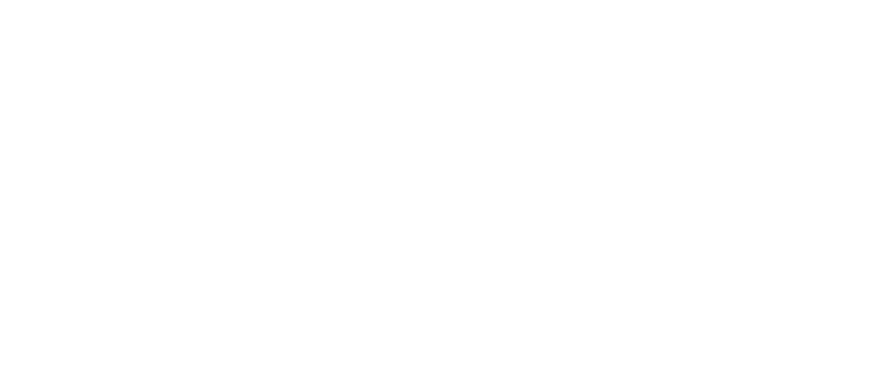 Besa Logo