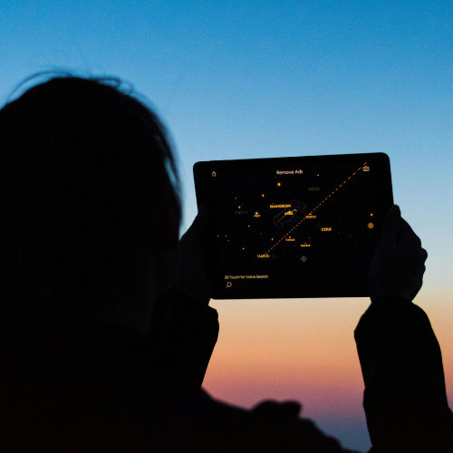 Travel Software